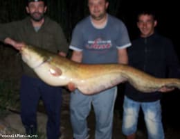 Pescuit Inedit  Ieftin an Spania