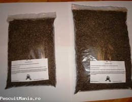 vand nada srot floarea soarelui\"srot flo\"