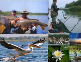 Transport,loc de campare,pecuit in Delta Dunarii-Mila23