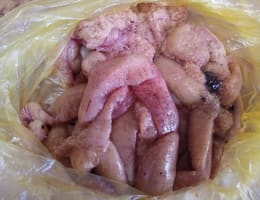 Vand icre de stiuca proaspete in membrana capturi Dunare Ro