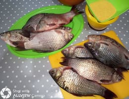 Vand Caras captura Dunare