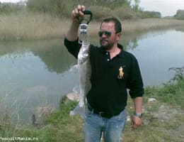 PESCUIT LA SALAU PE EBRO SPANIA MEQUINENZA