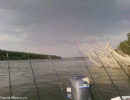 ofer pescuit pe dunare la 65km de buc