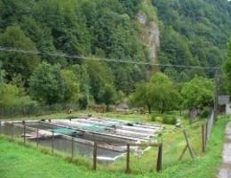 Vand teren pretabil pastravarie