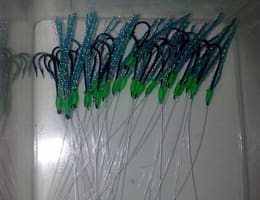 TAPARINE NEXT GENERATION