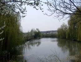 Invitatie la pescuit