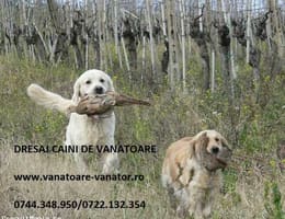 Vanatoare in Delta Dunarii