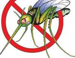 Aparate anti tantari