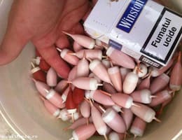 vand 200 de plute confectionate manual