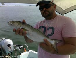 Pescuit pe Marea Mediterana