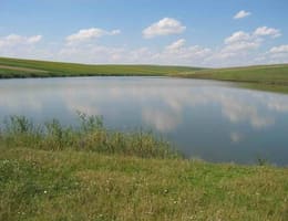 Vand Iaz 10 ha in Iasi