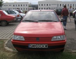 PEUGEOT  405