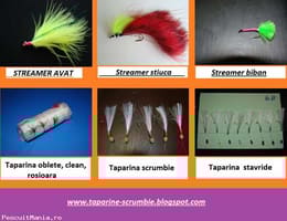 Taparina oblete,clean,avat,rosioara,scrumbie,stavride,streamer avat,stiuca,biban