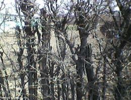 hotii va fura pestele?doar dv va puteti ajuta