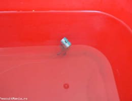 Vand montura crap primavara