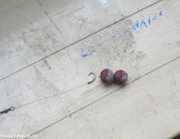 Montura crap boilies flotant