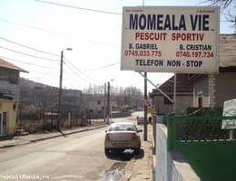 MOMEALA VIE