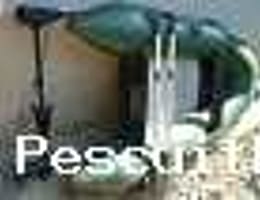 vand/schimb barca baracuda si motor electric