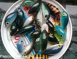 woblere TAZ pentru clean