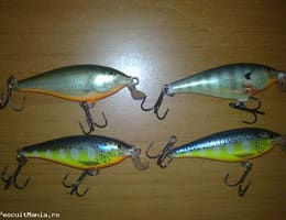 Voblere, Naluci Rapitori