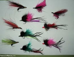 streamere avat,stiuca