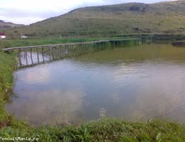vand balta la Santejude,com.Taga,jud. Cluj