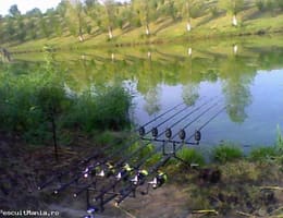 VAND ROD POD 5 POSTURI