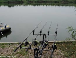 Vand set pescuit la crap