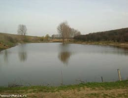 vand iaz piscicol 10000mp , Vieru