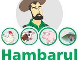 VINDEM FAINA DE PESTE .RELATII LA 0760.09.19.38 SAU PE WWW.NUTRITIE-ANIMALE.RO