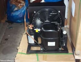 Execut camere frigorifice pastrare peste