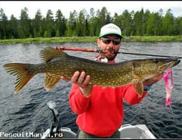 Sejur de pescuit in Suedia