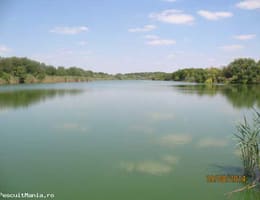 De vanzare: Balti deosebite, cu flux de apa permanent, proprietate sau cu active proprietate