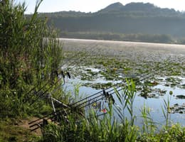 technica  nadire PIRAMIDA pe lacurile naturale