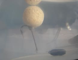 montura pop up   mono  fluorocarbon