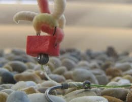 Montura Pop-Up cu viermusi