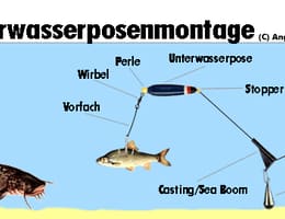 plute pentru suprafata si la fund cu atractie sonora