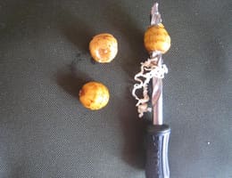 montura  TIGERNUTS  pop up pentru un fundal dur