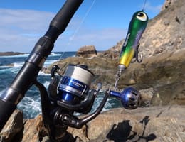 Mulineta in pescuitul la spinning - caracteristici de baza si cum o alegem
