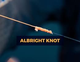 Nod pescaresc Albright