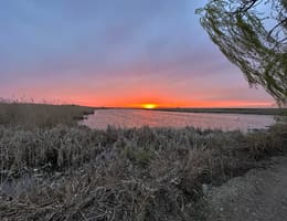 Pescuit in Ialomița pe bălti cu taxa si pe locuri de pescuit sălbatice