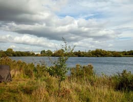 Cum afectează factorii de mediu pescuitul crapului pe Dunăre