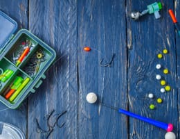 Crapul în sezonul rece: cum îl abordezi cu succes?