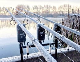 Pescuitul la crap iarna, strategii de nădire si localizare