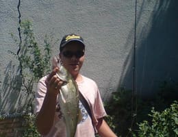 Amintiri de asta vara, la zidul crapat