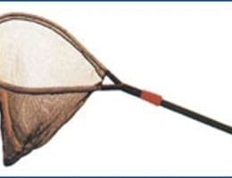 SCOATEREA PESTELUI DIN APA