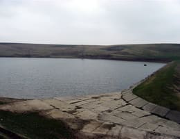 Cosacul - viitori phirania de Romania