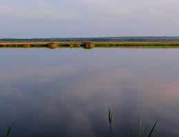 la stiuca pe Bistret