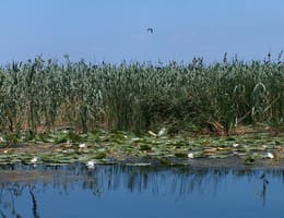 Pescuitul de primavara