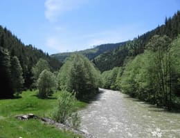 Pescuit de seara,la pastrav  si lipan